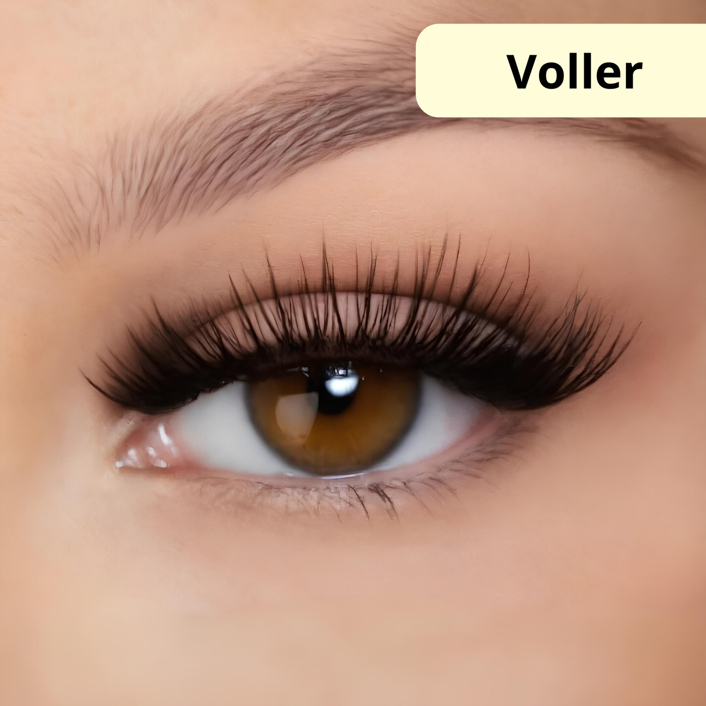 MagicGlam | Magnetische Wimpers Voor Gevoelige Ogen 6