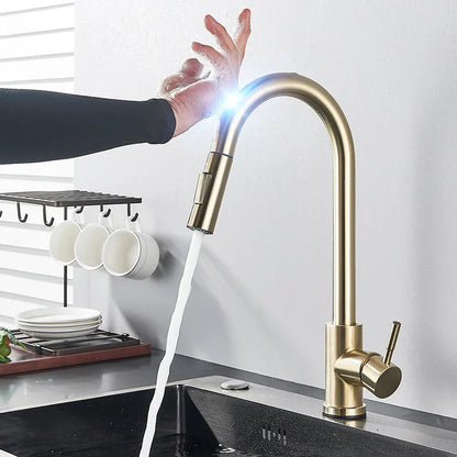 Aanraaksensor Keukentap | Moderne Keukenaccessoire Geborsteld Nikkel 1