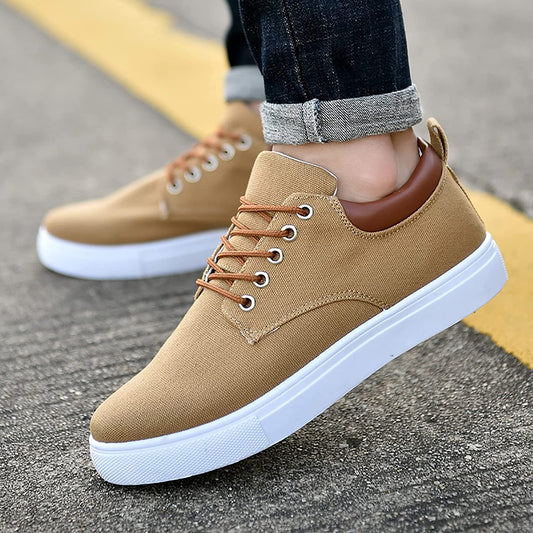https://cdn.shopify.com/s/files/1/0754/5248/1802/files/Bruinn_9e0eef16-bc24-4059-bbf6-c4851c5d081a.jpg?v=1734027061