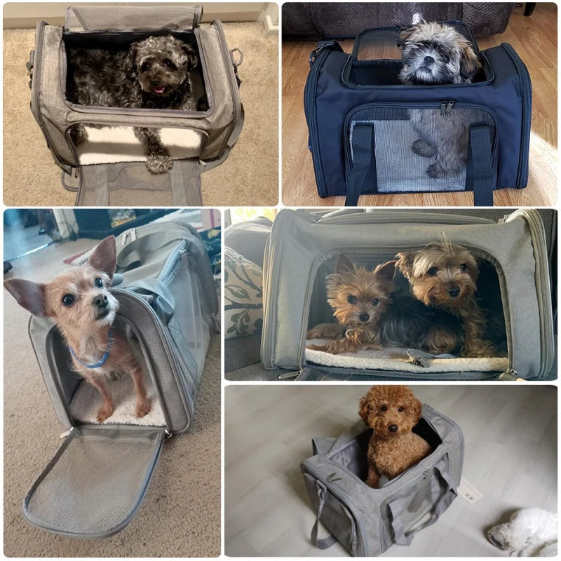 CarryPETS Draagtas voor Kleine Huisdieren | Huisdier Accessoires 2