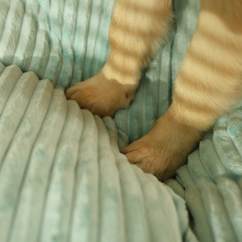 Flurrypaw | Orthopedisch Hondenbed 6