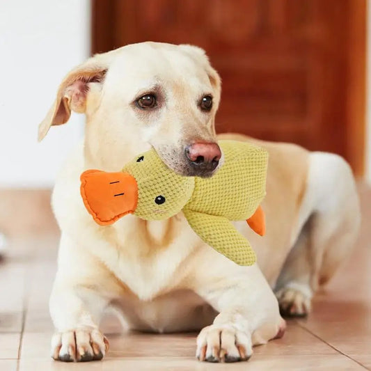 HappyPet | Duurzaam Hondenspeeltje voor Stressverlichting 0