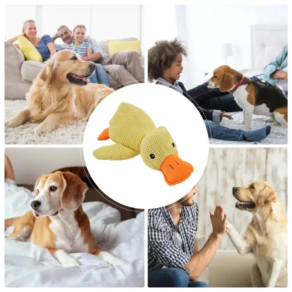 HappyPet | Duurzaam Hondenspeeltje voor Stressverlichting 2