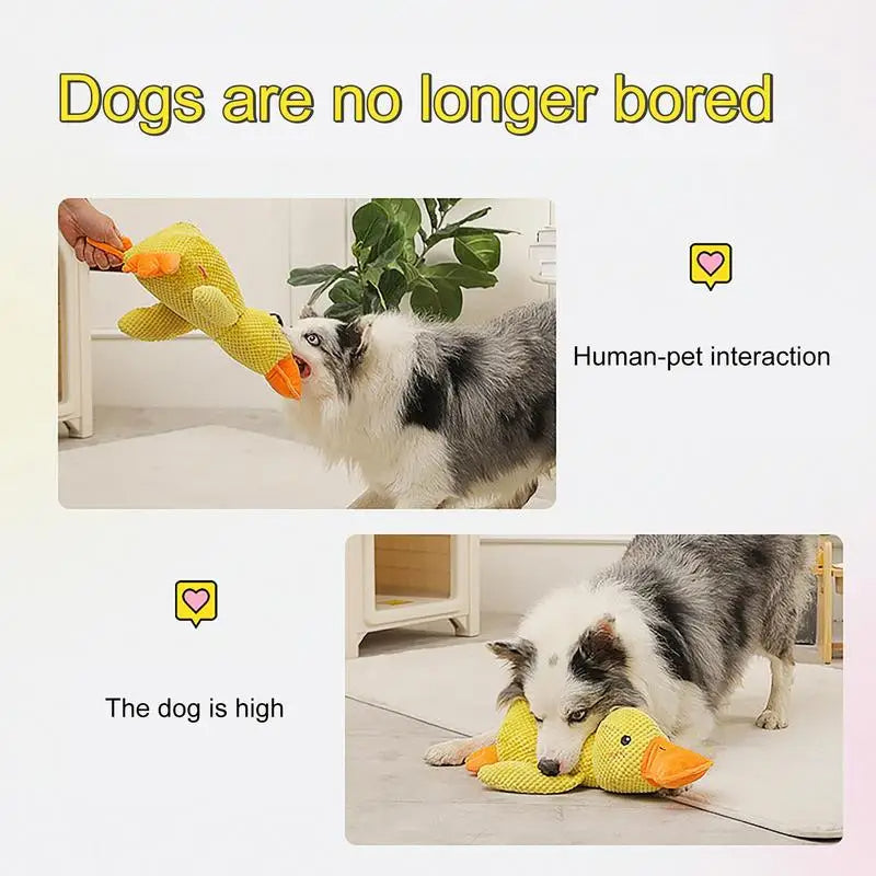 HappyPet | Duurzaam Hondenspeeltje voor Stressverlichting 3