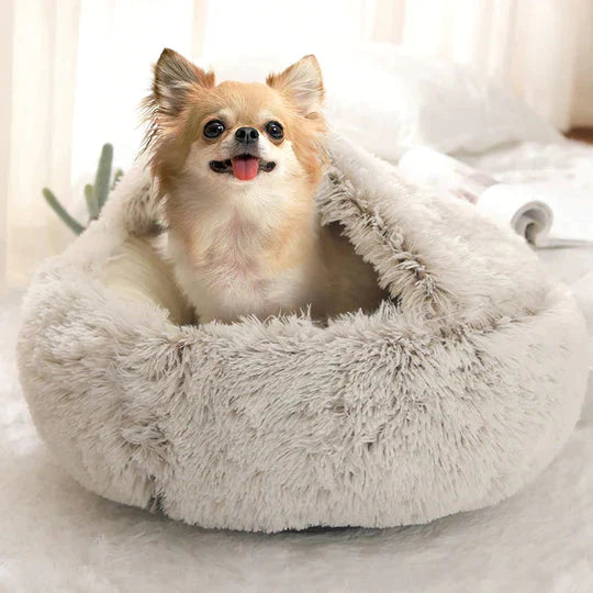 Honden Droombed | Comfortabel Hondenbed voor Een Goede Nachtrust 1