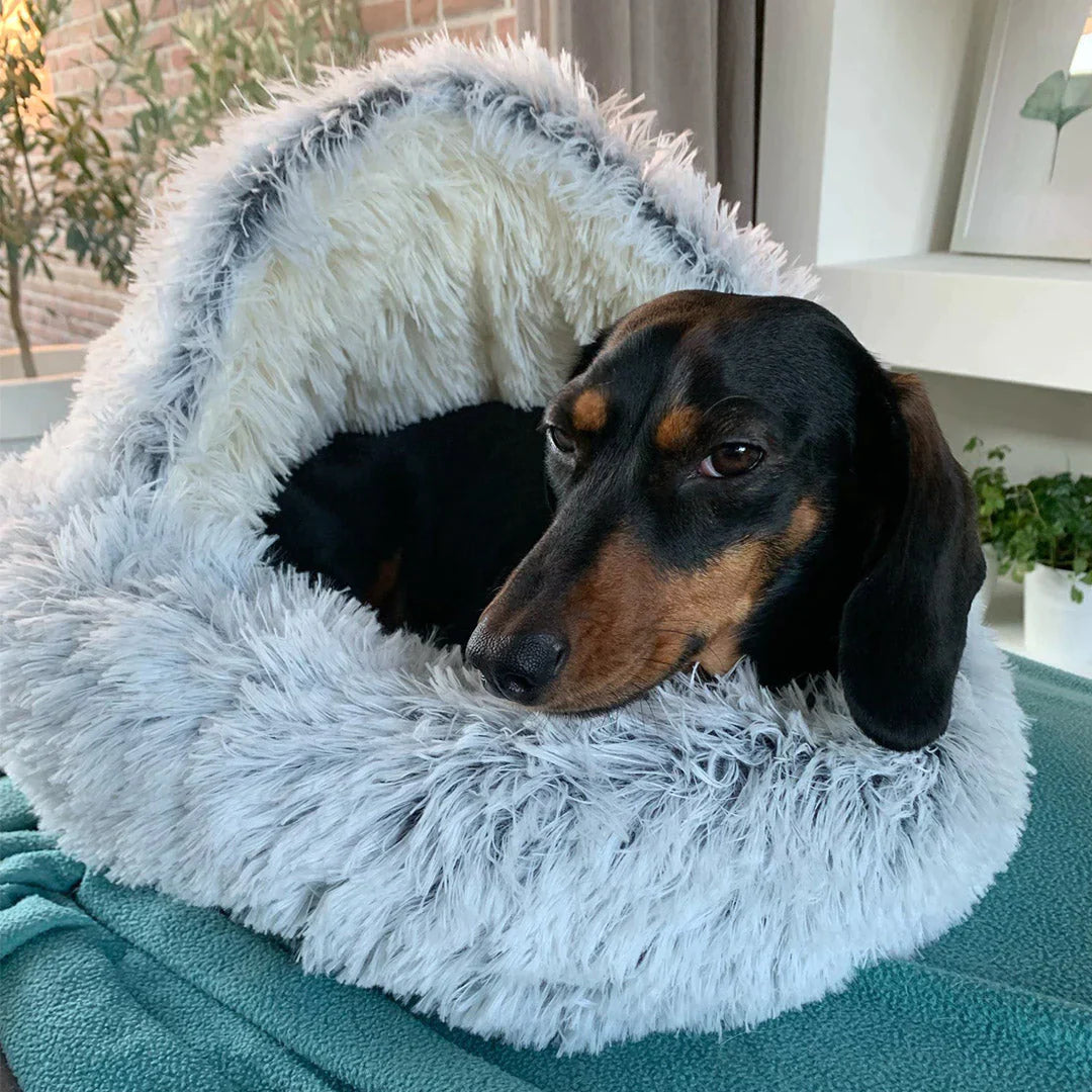 Honden Droombed | Comfortabel Hondenbed voor Een Goede Nachtrust 2