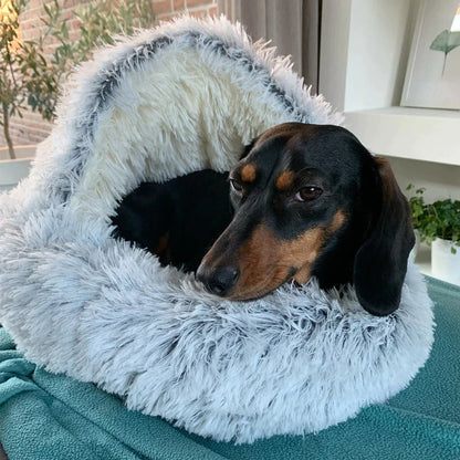 Honden Droombed | Comfortabel Hondenbed voor Een Goede Nachtrust 2