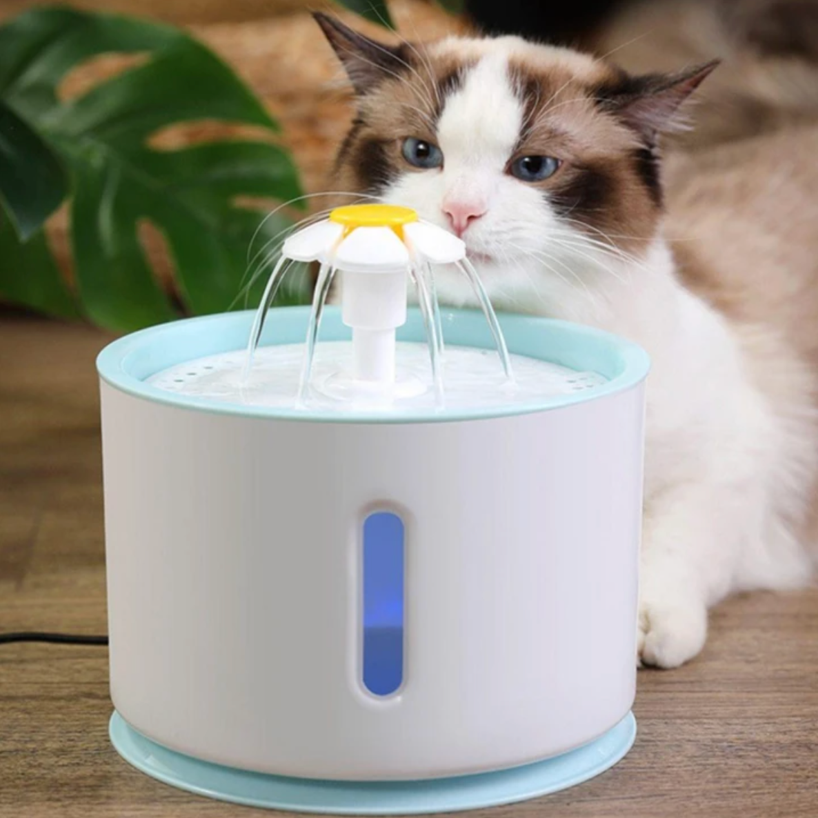 KatFlow Drinkfontein | Automatische Waterdispenser voor Katten 4