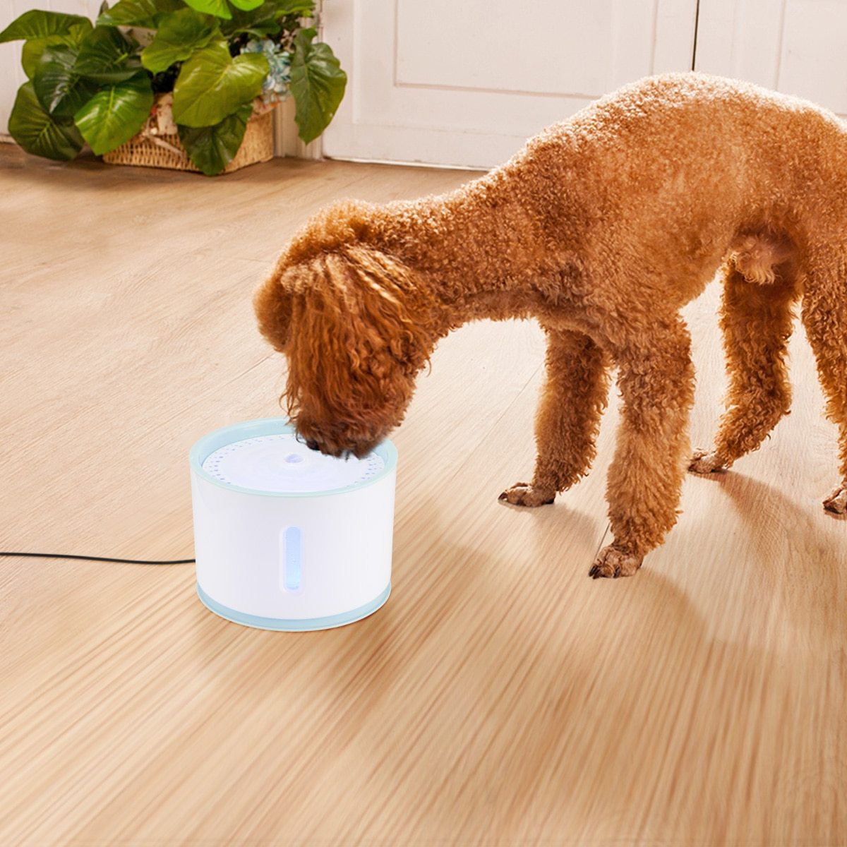 KatFlow Drinkfontein | Automatische Waterdispenser voor Katten 6