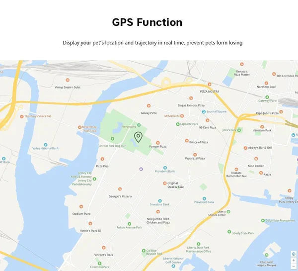 Kat GPS Tracker | Realtime Huisdier Locatie Apparaat 2