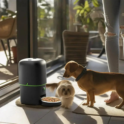 Slimme Voerautomaat Kat met Camera | Automatische Voerbak 1