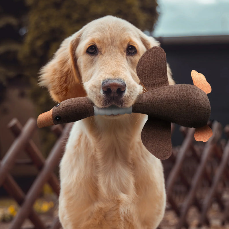 SolidPet | Onverwoestbaar Hondenspeeltje voor Alle Honden 1