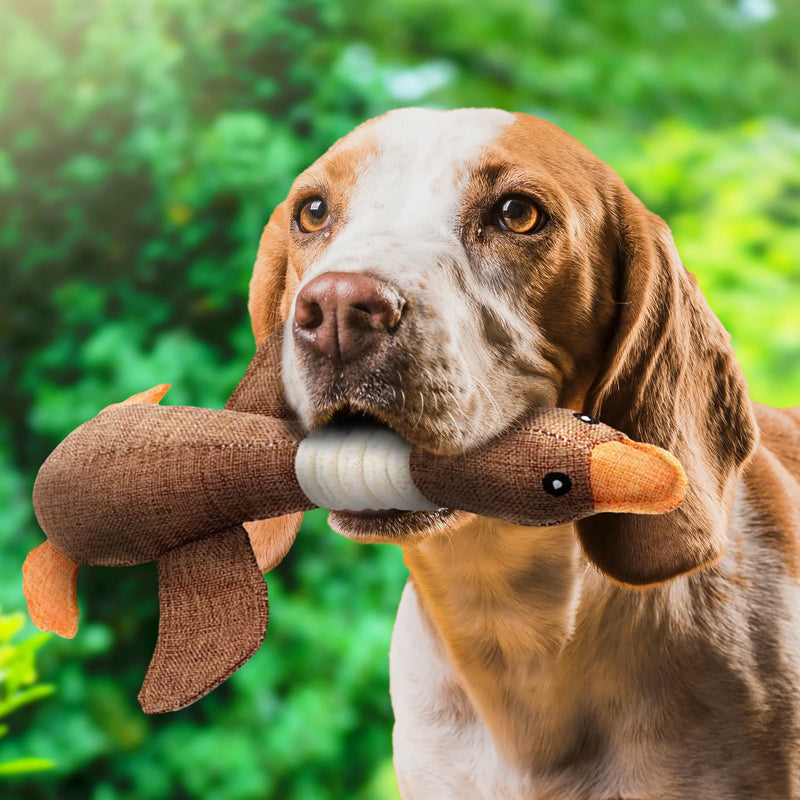 SolidPet | Onverwoestbaar Hondenspeeltje voor Alle Honden 2