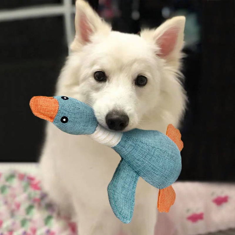 SolidPet | Onverwoestbaar Hondenspeeltje voor Alle Honden 3