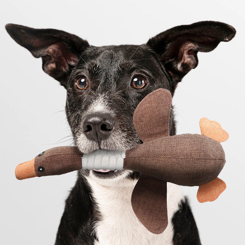 SolidPet | Onverwoestbaar Hondenspeeltje voor Alle Honden 4