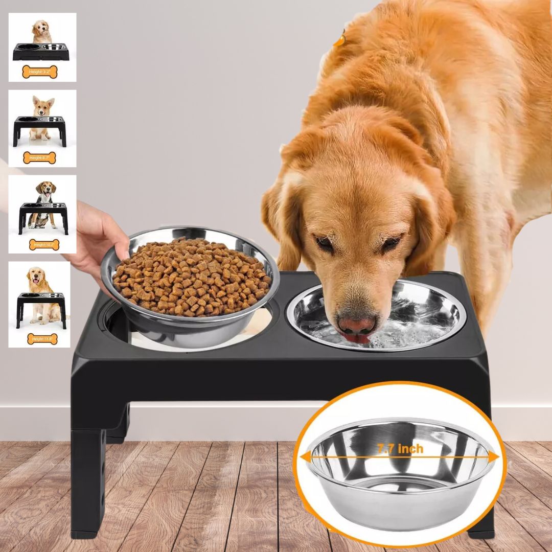 VitalPET Voederstandaard | Verstelbare Honden Eetstandaard 1